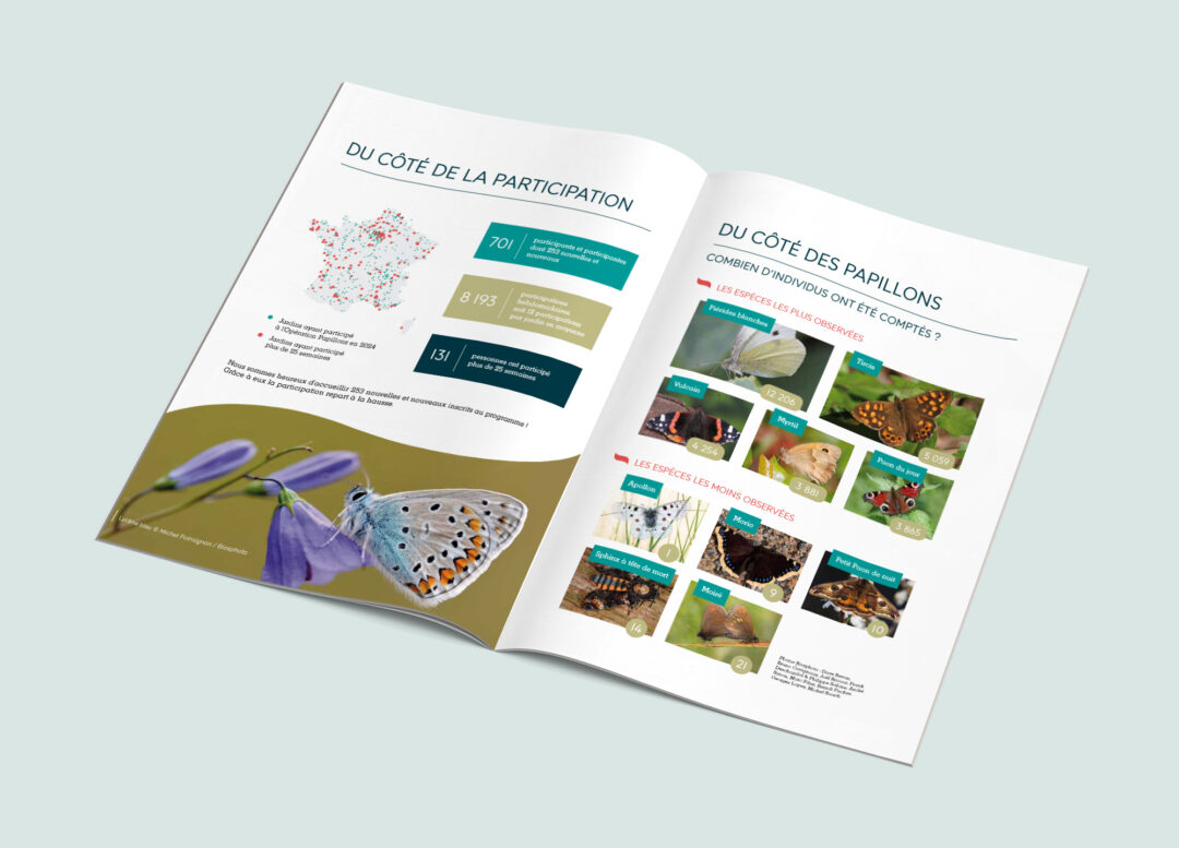 graphiste sciences participatives