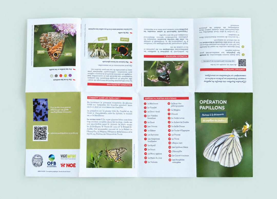 poster depliant nature biodiversité réalisé par graphiste indépendante a paris